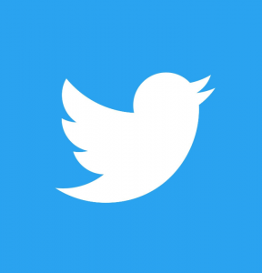 twitter bird